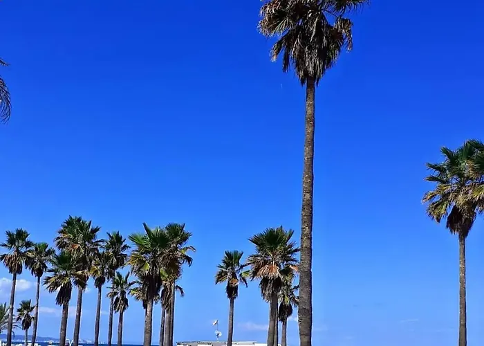 Tatil Evi La Llar De La Font Barraca de Aguas Vivas