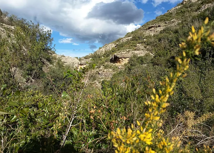 Tatil Evi La Llar De La Font