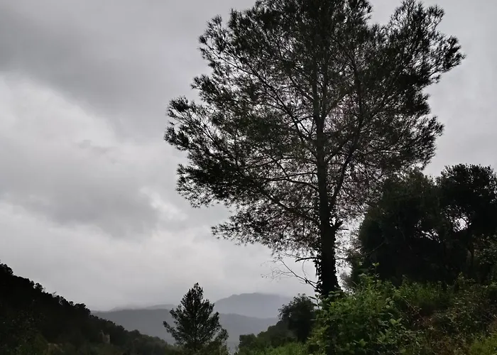 La Llar De La Font Barraca de Aguas Vivas