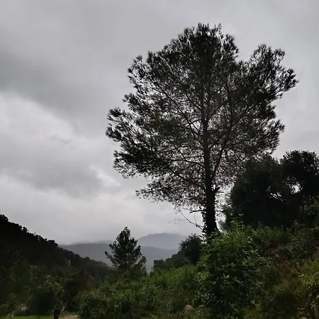 La Llar De La Font Barraca de Aguas Vivas