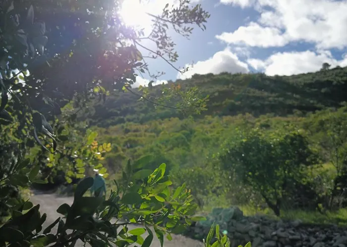 La Llar De La Font Prázdninový dům