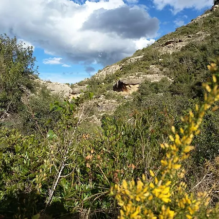 度假居 La Llar De La Font